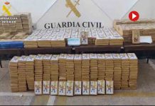 Incautan 600 kilos de cocaína ocultos en Quart de Poblet, València Incautan 600 kilos de cocaína ocultos en Quart de Poblet, València
