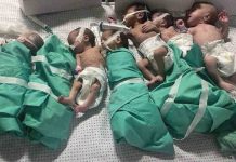 Israel asedia todos los hospitales del norte de Gaza Israel asedia todos los hospitales del norte de Gaza