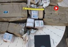 Cae una organización especializada en robos con fuerza en Castellón y València Cae una organización especializada en robos con fuerza en Castellón y València