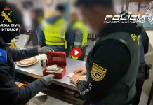 Desarticulada una organización dedicada a obtener permisos de conducir ilegalmente Desarticulada una organización dedicada a obtener permisos de conducir ilegalmente