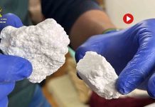 Desmantelado un servicio de ‘telecoca’ en La Rioja Desmantelado un servicio de 'telecoca' en La Rioja