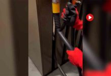 Detenidos en Francia dos componentes de Futuro Vegetal Detenidos en Francia dos componentes de Futuro Vegetal