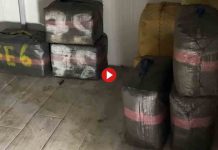 Nueve detenidos en Cádiz que tenían una guardería con 4.000 kilos de hachís Nueve detenidos en Cádiz que tenían una guardería con 4.000 kilos de hachís