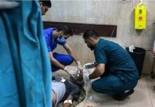 150 palestinos muertos en las últimas 24 horas por el ejército de ocupación 150 palestinos muertos en las últimas 24 horas por el ejército de ocupación