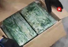 Desarticulada una organización que introdujo 2.500 kilos de cocaína en España Desarticulada una organización que introdujo 2.500 kilos de cocaína en España