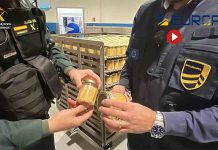 Incautan en La Rioja 120.000 botes de conserva de atún y 45.000 litros de aceite Incautan en La Rioja 120.000 botes de conserva de atún y 45.000 litros de aceite