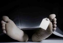 Tráfico de cadáveres en València para venderlos a universidades Tráfico de cadáveres en València para venderlos a universidades