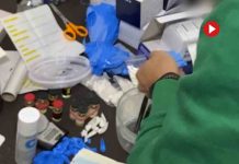 Tráfico de medicamentos y tabaco en Málaga y Sevilla Tráfico de medicamentos y tabaco en Málaga y Sevilla