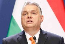 120 eurodiputados piden retirar a Hungría el derecho de voto en el Consejo Europeo 120 eurodiputados piden retirar a Hungría el derecho de voto en el Consejo Europeo