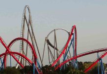 14 heridos, dos de ellos críticos, en un accidente en Port Aventura 14 heridos, dos de ellos críticos en un accidente en Port Aventura