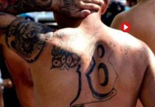 Detienen a los líderes de la Mara Pandilla Barrio 18 en Barcelona, la banda latina más violenta Detienen a los líderes de Mara Barrio 18 en Barcelona, la banda latina más violenta