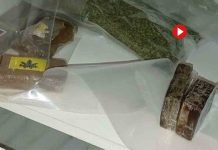 Localizan 2 toneladas de hachís y ketamina escondido en Brócoli en Marbella Localizan 2 toneladas de hachís y ketamina escondido en Brócoli en Marbella