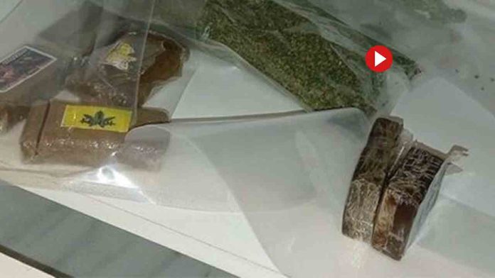 Localizan 2 toneladas de hachís y ketamina escondido en Brócoli en Marbella