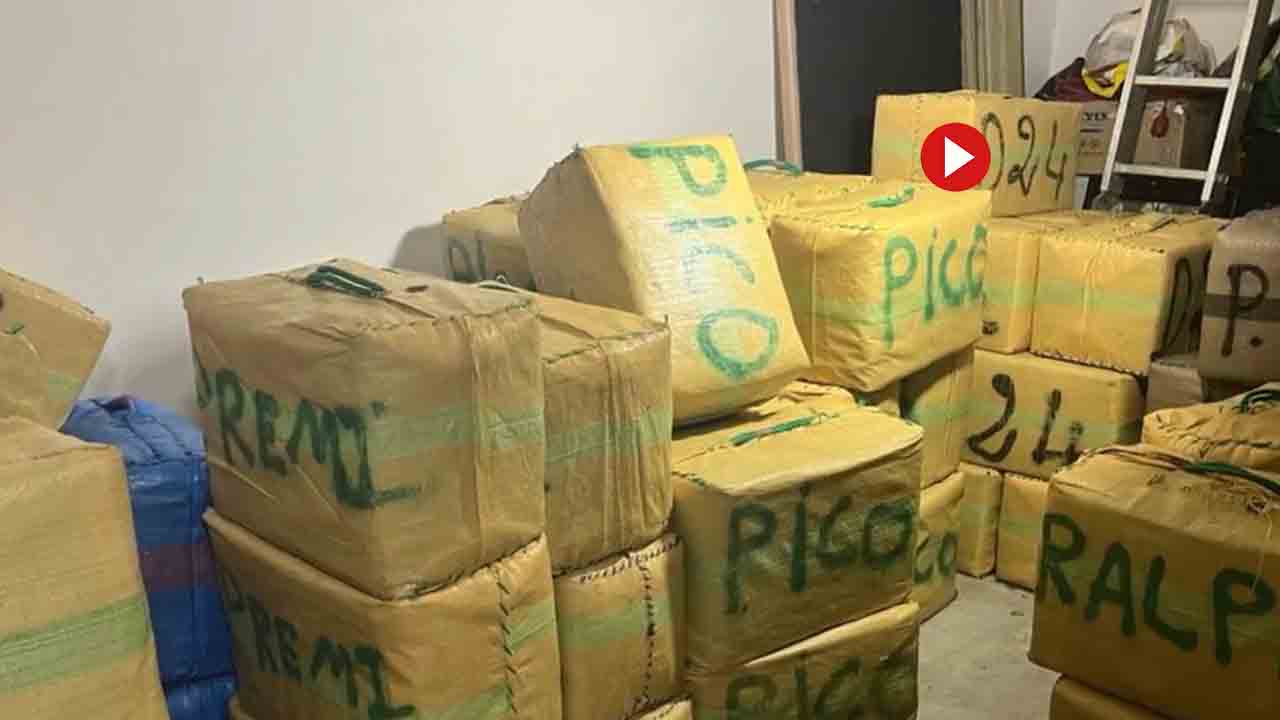 Localizan una “guardería” en La Línea con 4.500 kilos de hachís