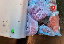 Operación contra el tráfico de drogas en aeropuertos de todo el mundo Operación contra el tráfico de drogas en aeropuertos de todo el mundo