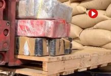 419 kilos de cocaína en un contenedor de café en el puerto de Barcelona 419 kilos de cocaína en un contenedor de café en el puerto de Barcelona