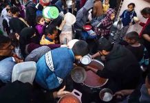 Entra ayuda humanitaria de la ONU directamente al norte de la Franja de Gaza Entra ayuda humanitaria de la ONU directamente al norte de la Franja de Gaza