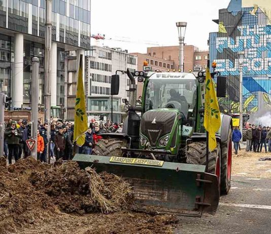 Europa acuerda eximir a los pequeños agricultores de sanciones Europa acuerda eximir a los pequeños agricultores de sanciones