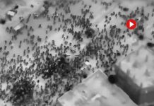 Israel asesina a 100 palestinos que intentaban coger comida de un camión humanitario Israel asesina a 100 palestinos que intentaban coger comida de un camión humanitario