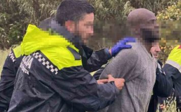 Detienen a un hombre que asaltó la protectora de Figueres hiriendo a varios perros Detienen a un hombre que asaltó la protectora de Figueres hiriendo a varios perros