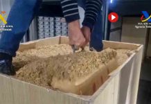 Intervienen 25 toneladas de hachís en el puerto de Algeciras Intervienen 25 toneladas de hachís en el puerto de Algeciras