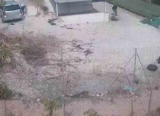 Investigan a dos personas por maltrato animal en Calasparra Investigan a dos personas por maltrato animal en Calasparra