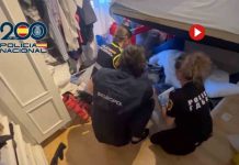 Desmantelan la organización de narcoveleros más grande del mundo Desmantelan la organización de narcoveleros más grande del mundo