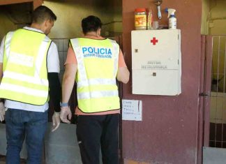 Desmantelan un centro veterinario que expedía cartillas sanitarias falsas Desmantelan un centro veterinario que expedía cartillas sanitarias falsas
