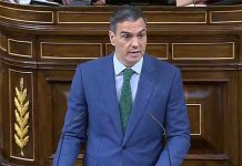 Sánchez presenta en el congreso el plan de regeneración democrática Sánchez presenta en el congreso el plan de regeneración democrática