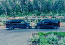 La trama de los VTC piratas en Ibiza, Susi Pereyra, Policía Local e inspectores La trama de los VTC piratas en Ibiza, Susi Pereyra, Policía Local e inspectores