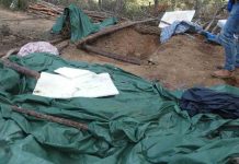 Intervienen 370 kilos de marihuana enterrados en una zona boscosa de Mont-roig Intervienen 370 kilos de marihuana enterrados en una zona boscosa de Mont-roig
