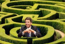 Mazón en su laberinto Mazón en su laberinto