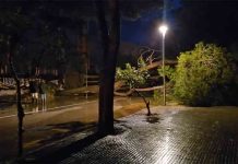 Nueve comarcas de Catalunya con restricciones de movilidad por la Dana Nueve comarcas de Catalunya con restricciones de movilidad por la Dana