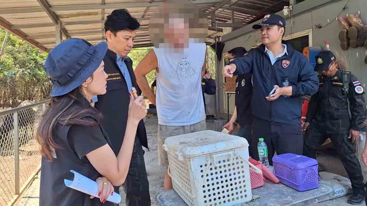 Frank Cuesta detenido en Tailandia por posesión ilegal de fauna protegida