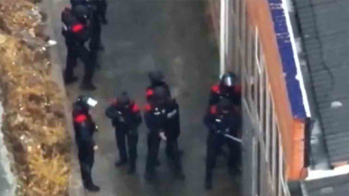 Desarticulada en Catalunya una red que cultivaba marihuana a gran escala