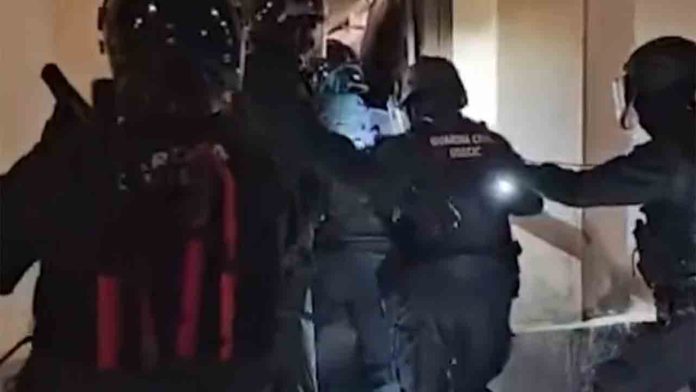 Desarticulada una organización dedicada al cultivo de cannabis en Cataluña y Aragón