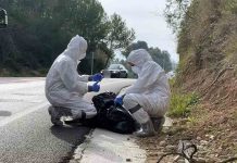 China bloquea la entrada de carne de cerdo de doce empresas de Barcelona China bloquea la entrada de carne de cerdo de doce empresas de Barcelona