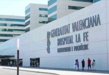 Fallece una mujer en Catarroja tras sufrir una brutal paliza de su pareja Fallece una mujer en Catarroja tras sufrir una brutal paliza de su pareja