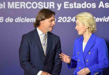 La UE aprueba el acuerdo con Mercosur pese a las protestas del sector agrícola La UE aprueba el acuerdo con Mercosur pese a las protestas del sector agrícola