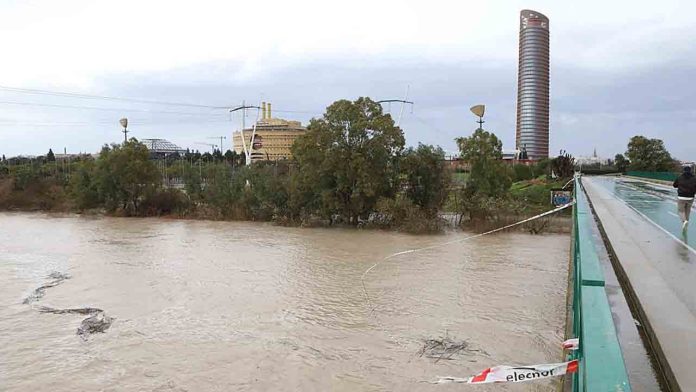 La borrasca Marta agrava la emergencia por las crecidas del Guadalquivir en Córdoba La borrasca Marta agrava la emergencia por las crecidas del Guadalquivir en Córdoba