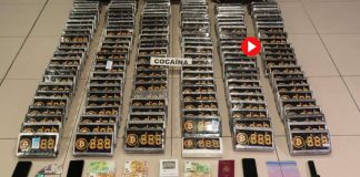 Desarticulada una red de narcotráfico con base en el aeropuerto de El Prat Desarticulada una red de narcotráfico con base en el aeropuerto de El Prat