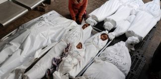 La ONU apunta al genocidio sistemático de Israel a los niños en Gaza La ONU apunta al genocidio sistemático de Israel a los niños en Gaza