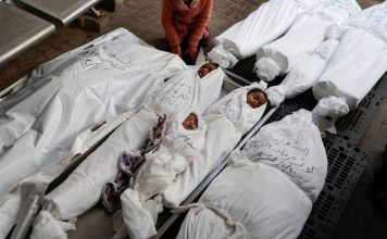 La ONU apunta al genocidio sistemático de Israel a los niños en Gaza La ONU apunta al genocidio sistemático de Israel a los niños en Gaza