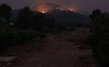 Incendios en España hoy, última hora: mejora el fuego en Castellón pero el riesgo sigue en niveles extremos Incendios en España hoy, última hora: mejora el fuego en Castellón pero el riesgo sigue en niveles extremos