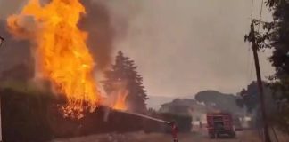 Los incendios de Madrid se convierten en un único frente mientras crece la preocupación por el avance desde Ávila Los incendios de Madrid se convierten en un único frente mientras crece la preocupación por el avance desde Ávila