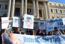 Los veterinarios convocan protestas en Madrid y Barcelona el 19 de septiembre Los veterinarios convocan protestas en Madrid y Barcelona el 19 de septiembre