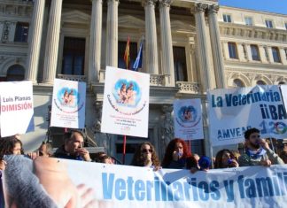Los veterinarios convocan protestas en Madrid y Barcelona el 19 de septiembre Los veterinarios convocan protestas en Madrid y Barcelona el 19 de septiembre