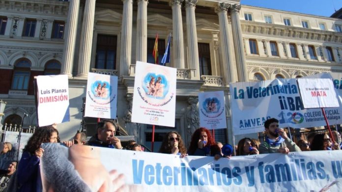 Los veterinarios convocan protestas en Madrid y Barcelona el 19 de septiembre Los veterinarios convocan protestas en Madrid y Barcelona el 19 de septiembre