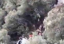 Accidente de autobús en el Montseny: 60 heridos tras caer por un barranco Accidente de autobús en el Montseny: 20 heridos graves tras caer por un barranco
