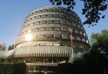 El Constitucional rechaza el recurso sobre el voto de la ley de nietos El Constitucional rechaza el recurso sobre el voto de la ley de nietos